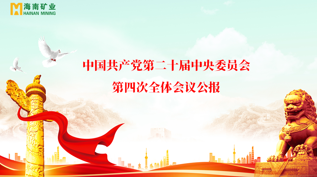 海南矿业党委学习贯彻党的二十届四中全会精神